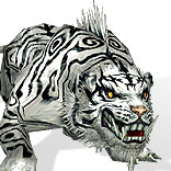 White Tiger